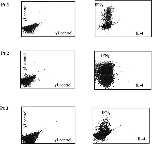 Fig. 6. Flow cytometric analysis for intracellular cytokines showed that the CTL line produced predominantly IFN-γ and very little IL-4.