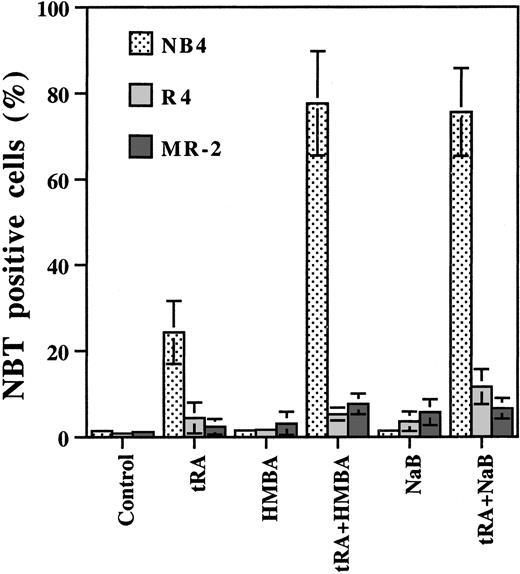 Fig. 1. Effect of HMBA and NaB on tRA-induced differentiation in NB4, MR-2, and R4 cells. / HMBA and NaB enhanced tRA-induced differentiation in NB4 cells, but not in MR-2 or R4 cells. NB4, MR-2, and R4 cells were treated with 10−7 μM tRA, 0.5 mM NaB, and 2 mM HMBA, alone or in combination as labeled in the bottom of the Figure, for 3 days. Differentiation was determined by NBT reduction assay. The data were the mean of 3 independent experiments with SD.