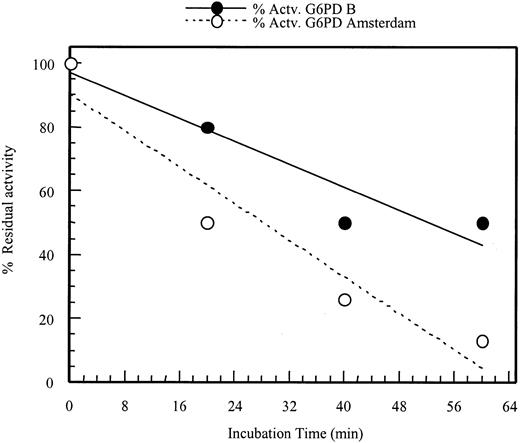 Fig. 3. Retention of enzyme activity of G6PD Amsterdam. / The enzyme activity of G6PD Amsterdam after different incubation times at 51°C was compared with the enzyme activity of G6PD B (wild type). The activity is plotted as percentage residual activity of the enzymes at different incubation times compared with the activity of the enzymes at time zero.