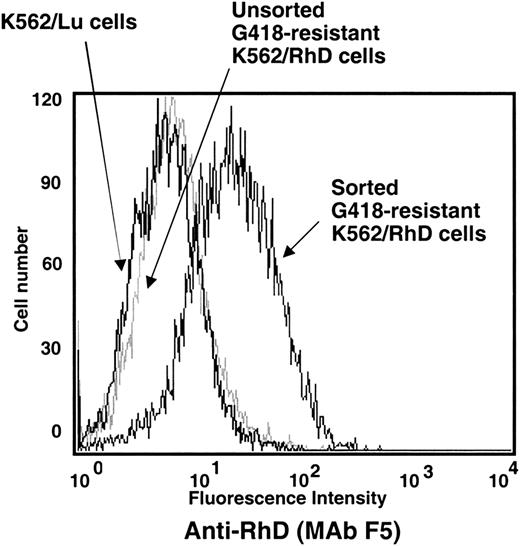 Fig. 2. Flow cytometric analysis of the enrichment of K562 cells expressing recombinant RhD antigen by magnetic-bead sorting. / The human MAb anti-D F5 was used to compare RhD antigen expression on G418-resistant K562/RhD cells before and after magnetic bead sorting, as described in “Materials and methods.” K562/Lu stably expressing the recombinant Lu blood group glycoprotein was used as negative control.