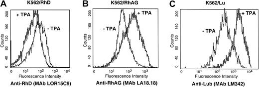 Fig. 5. Effect of TPA treatment on the cell-surface expression of RhD, RhAG, and Lu antigens in K562/RhD, K562/RhAG, and K562/Lu transfectants. / Cells were analyzed by flow cytometry before and after TPA treatment for 48 hours. Antibodies included (A) anti-RhD, LOR-15C9 hMAb; (B) anti-RhAG, LA18.18 mMAb; and (C) anti-Lu, LM342 mMAb. Similar results were obtained when RhD expression was analyzed with F5 and BRIC69 MAbs (not shown).