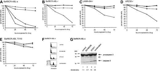 Fig. 2. SCH66336 sensitizes parental and STI571-resistant cells to STI571-induced apoptosis. / (A-E) Parental Baf/BCR-ABL-s (A) and STI571-resistant Baf/BCR-ABL-r (B), LAMA-84-r (C), AR230-r (D) cells, and Baf3 cells expressing the T315I mutant of BCR-ABL (E) were seeded at 5 × 104cells/mL in cytokine-free RPMI + 10% fetal bovine serum in the presence of DMSO (●), 1 μM STI571 (▴), 5 μM SCH66 336 (▪), or a combination of both drugs (○). Viability of cells was assessed at daily intervals by dye exclusion. Results are representative of at least 3 experiments. (F, G) Parental Baf/BCR-ABL-s cells were pretreated with DMSO or 1 μM SCH66336 for 48 hours, after which cells were split into 2 groups—no further treatment (control and SCH66336 cells) or treatment for an additional 8 hours with 1 μM STI571 (STI571 and combination cells). Cells were analyzed for either annexin V staining (F) by fluorescence-activated cell sorter analysis using the Apo-Alert kit (Clontech), or they were lysed and immunoblotted with antibody against caspase-3 (G). Densitometric analysis was performed on active caspase-3 and was normalized to levels of the indicated background band (open arrowhead).