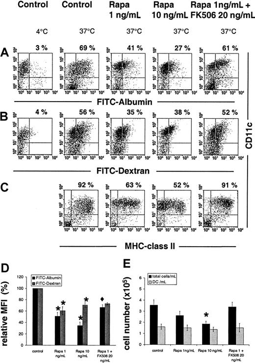 Fig. 1. Rapamycin inhibits endocytosis by GM-CSF+IL-4–expanded DC. / (A-D) BM-derived DCs were expanded for 7 days as described in “Study design”; rapamycin (Rapa) was added at day 2 (± FK506) at the concentrations indicated. FITC-albumin and FITC-dextran internalization at 37°C and 4°C (negative control), MHC class II (IAb β-chain), and CD11c expression were analyzed by flow cytometry. In all experiments, CD11c+ cells were analyzed to determine endocytosis and MHC class II expression specifically in DCs. (A-C) Numbers indicate the percentage of CD11c+ cells that were positive for the marker indicated. (D) Data represent mean values (± SE) of CD11c+ cells after subtraction of background fluorescence (4°C). (E) Comparison of total cell and DC numbers on day 7 of culture. (D, E) Differences between paired cultures were compared by 2-tailed Student t test for paired samples (*P < .05 vs control; ♦ P < .05 vs Rapa 1). (A-D) Results are representative of 4 (FITC-dextran) and 6 (FITC-albumin) separate experiments. (E) Results are representative of 6 separate experiments.