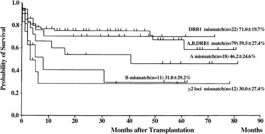 Fig. 5. Probability of survival according to HLA matching on the basis of DNA typing in patients with SAA who received transplants from unrelated donors.