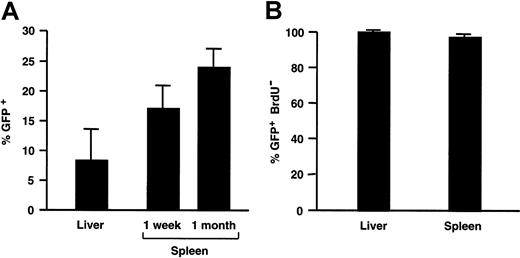 Fig. 4. Transduction efficiency analysis. / (A) The percentage of GFP+ cells in transduced liver and spleen from recipient adult SCID mice injected with 109 TU HIV-GFP. (B) Fraction of transduced GFP+ cells in liver and spleen that are nondividing as measured by lack of BrdU incorporation.