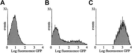 Fig. 7. Cytofluorimetric analysis of transduced splenocytes. / SCID mice were injected with 109 TU HIV-GFP. GFP expression profile of total splenocyte population injected with PBS (A) or vector (B). Gated GFP expression profile of GFP+ cells by means of FACSvantage (C). Analysis was performed 1 week after transduction.