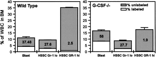 Fig. 3. Initial BrdU uptake by various subpopulations of bone marrow cells and their distribution in bone marrow. / Wild-type and G-CSF–deficient mice were injected with BrdU (intraperitoneally), and after 2 hours they were killed. The bone marrow cells were fixed and permeabilized and then labeled with anti–BrdU-FITC antibody followed by Gr-1-PE staining. The total height of each column represents the percentage of total cells. The unshaded portions represent labeled cells (cells in DNA synthesis). BrdU uptake by blast cells from G-CSF–deficient mice was significantly higher than that from wild-type mice (P < .05). HSSC represents cells with high side scatter in FSC versus SSC FACS profile. Data are represented as mean ± SEM (n = 3) and are a representative plot of 1 of the 3 independent experiments.