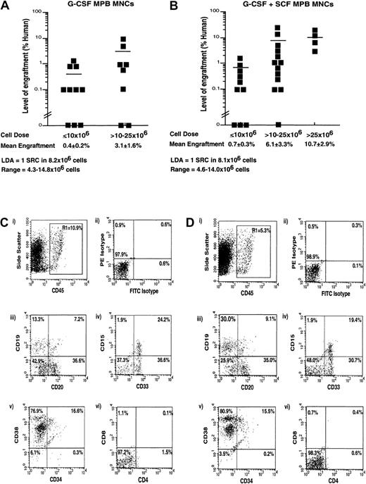 Fig. 1. Analysis of the repopulating capacity of human MNCs isolated from G-CSF– or G-CSF plus SCF–mobilized PB. / (A-B) Summary of the level of human engraftment in NOD/SCID EMVnull mice that received transplants of PB MNCs isolated following (A) G-CSF or (B) G-CSF plus SCF mobilization. Mouse BM was extracted 6 to 8 weeks after transplantation and analyzed for human engraftment by flow cytometry and Southern blot analysis. Each symbol (▪) represents a single mouse recipient of transplanted MNCs (5 to 50 × 106 cells) derived from a total of 6 independent G-CSF–mobilized samples (n = 18) and 9 independent G-CSF plus SCF–mobilized samples (n = 27). Horizontal lines represent the average level of engraftment for each cell dose and did not show a statistical difference between mobilization regimes. LDA showed a similar frequency of SCID repopulating cells (1 SRC in approximately 8 × 106 MNCs) for both G-CSF– and G-CSF plus SCF–mobilized PB. (C-D) Representative analysis of multilineage stem cell repopulation assessed in human-engrafted mice receiving transplants of 25 × 106 G-CSF– (C) or G-CSF plus SCF–mobilized PB MNCs (D). Mouse BM cells were stained with monoclonal antibody combinations for human-specific antibody against the panleukocyte marker CD45 (gated R1) (Ci,Di), and human cells were assayed for presence of mature B lymphoid cells (CD20, CD19) (Ciii,Diii), mature myeloid cells (CD33, CD15) (Civ,Div), primitive cells (CD34, CD38) (Cv,Dv), and mature T-lymphoid cells (CD4 and CD38) (Cvi,Dvi). Limits for quadrants were established with the use of FITC isotype and PE isotype controls (Cii,Dii), and statistics display the frequency of subsets representative of human hematopoietic differentiation in the BM of NOD/SCID recipients of transplants of either G-CSF– or G-CSF plus SCF–mobilized PB MNCs.