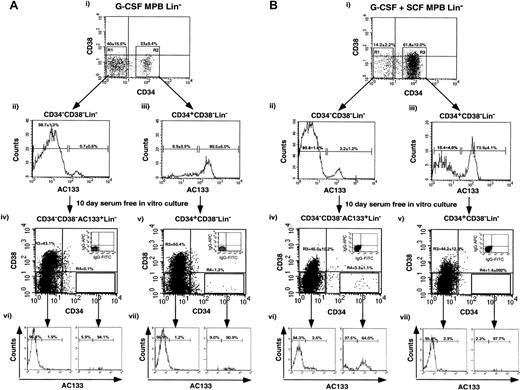 Fig. 5. Phenotypic analysis of G-CSF– or G-CSF plus SCF–mobilized PB primitive CD34+(CD34+CD38−Lin−) or CD34−(CD34−CD38−AC133+Lin−) cells after 10 days in in vitro culture. / G-CSF–mobilized (A) or G-CSF plus SCF–mobilized (B) PB Lin− cells were sorted by means of 3-color flow cytometry with the use of antibodies for human CD34, CD38, and AC133. Lin− cells were sorted for CD34 expression (Ai,Bi), with sorting gates established to select for CD34−CD38− (R1) and CD34+CD38− (R2) populations. Cells were re-sorted to exclude any potential contaminating cells, and each population was reanalyzed for AC133 expression. CD34−CD38−AC133+Lin−(Aii,Bii) and CD34+CD38−Lin−(Aiii, Biii) cells were purified for in vitro culture. Equal numbers of purified CD34−CD38−AC133+Lin−and CD34+CD38−Lin− cells were cultured in serum-free conditions containing hematopoietic growth factors. After 10 days of culture, the contents of the wells were analyzed for CD34, CD38, and AC133 expression. The CD34 and CD38 expression is shown for 10-day–cultured CD34+CD38−Lin− (Aiv,Biv) and CD34−CD38−AC133+Lin−(Av,Bv) cells for G-CSF–mobilized (A) and G-CSF plus SCF–mobilized (B) PB samples. Insets illustrate isotype (IgG1) controls of stained cultured cells used to establish quadrant statistics for CD34−CD38− (R3) and CD34+CD38−cells (R4) gating. Approximately 3.3% ± 1.1% of the G-CSF plus SCF–mobilized CD34−CD38−AC133+Lin−cells acquired CD34 expression after 10 days of culture, while G-CSF–mobilized CD34−CD38−AC133+Lin−cells did not (0.1%). The AC133 expression after 10 days in vitro culture is shown for CD34−CD38−AC133+Lin−(Avi,Bvi) and CD34+CD38−Lin−(Avi,Bvi) cells. Data shown are representative of independent experiments with the use of a G-CSF sample and the mean of 3 additional G-CSF plus SCF–mobilized PB samples.