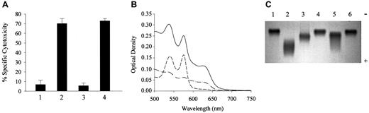 Fig. 2. Effect of HO-1–deficient child's LDL on endothelial cells and on electrophoretic mobility. / HO-1–deficient child's LDL is cytotoxic to endothelial cells and has increased electrophoretic mobility accompanied by oxidation of plasma Hb. (A) Exposure of endothelial cells to the child's LDL. Endothelial cells from healthy subjects were treated with native LDL (first bar), LDL from patient (second bar), LDL from healthy individuals' plasma samples that were handled similarly to those from the patient with HO-1 deficiency (third bar), or LDL from metHb-pretreated plasma (fourth bar). After a 4-hour incubation with LDL (200 μg/mL protein), MTT assays were performed. Results represent the percentage of specific cytotoxicity (mean ± SE) of 2 experiments done in triplicate. (B) Spectral analysis of plasma-Hb. Plasma samples were diluted with saline and scanned with the use of diluted Hb-free plasma as blank. Solid line represents the wavelength scan of the child's plasma; also represented are wavelength scans of diluted plasma from healthy subjects containing 2.5 μM ferroHb (long dash) or 2.5 μM of metHb (dash-dot). (C) Electrophoretic mobility of the child's LDL. Native LDL (3 μg) (lanes 1 and 6); oxidatively modified LDL (lane 2); patient's LDL (lane 3); and LDL from plasma containing 20 μM ferroHb (fourth lane) or 20 μM metHb (lane 5) were electrophoresed on agarose gel.