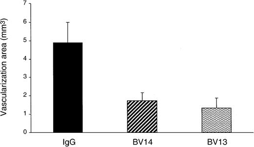 Fig. 4. Inhibition of FGF-2–induced corneal neovascularization by VE-cadherin mAbs. / Hydron pellets containing 50 ng of hrFGF-2 and 1 μg of either one of VE-cadherin mAbs or control IgG were surgically inserted into the mouse corneal stroma adjacent to the temporal limbus. The area of corneal angiogenesis was evaluated as described in the “Materials and methods” section. Eyes implanted with pellets containing BV14 or BV13 mAbs showed a reduction of vascularization of 64% and 72%, respectively, when compared with nonimmune rat IgG–treated group. Data are means ± SEM (n = 6) of a representative experiment out of 3 performed.