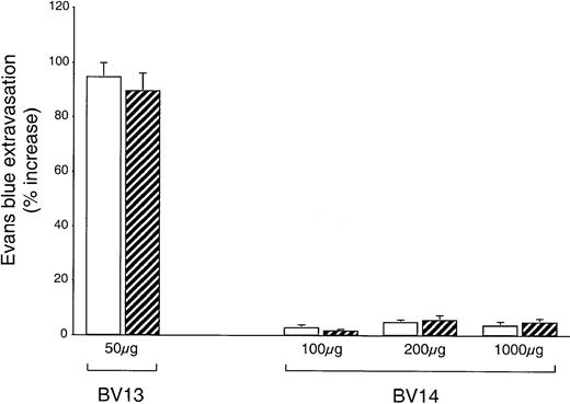 Fig. 7. BV14 does not increase vascular permeability in vivo. / Control nu/nu (CD-1)BR mice (white columns) or mice injected with C6 glioma (striped columns) were treated with nonimmune IgG or BV13 or BV14. Every 3 days mice received the indicated amounts of mAbs. At 10 days after tumor implantation, mice were tested for Evans blue leakage in lungs. While BV13 increased permeability to a significant extent, BV14 was essentially inactive. Data are expressed as percentage increase in Evans blue content in comparison to mice treated with equivalent doses of nonimmune rat IgG. Data are means ± SEM of 3 experiments performed in triplicate.