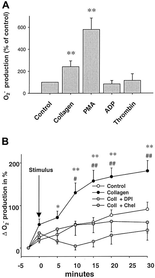Fig. 1. Collagen induces platelet O2− production. / (A) Effects of various stimuli on platelet superoxide (O2−) production. Collagen (6 μg/mL, n = 24) and phorbol-12-myristate 13-acetate (PMA, 1 μM, n = 21), but not ADP (5-50 μM, n = 9) or thrombin (0.1-1 U/mL, n = 12), increased O2− formation by platelets (10 minutes after stimulation). O2− was measured by L-012 chemiluminescence. (B) Influence on NAD(P)H oxidase and PKC inhibitors on collagen-induced (6 μg/mL) O2− formation. Kinetics of collagen-induced O2− production and its inhibition by DPI (100 μM, n = 6) and chelerythrine (50 μM, n = 10). Data are shown as mean ± SEM; * (#), ** (##) significantly different at P < .05, .01 vs stimulus and DPI (*) or chelerythrine (#).