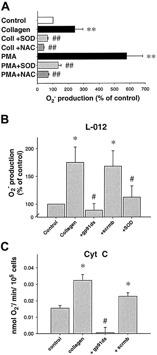 Fig. 2. Inhibition of platelet O2−release. / (A) Effect of O2− scavengers on platelet release of O2−. N-acetylcysteine (NAC, 1 mM, n = 9) or superoxide dismutase (SOD, 250 U/mL, n = 9) significantly decreased O2− release after PKC stimulation using PMA, whereas boiled SOD was without effect (not shown). When collagen was used as a stimulus, similar results were obtained (6 μg/μL, n = 7 each, 10 minutes after stimulation). (B) Specific NAD(P)H oxidase inhibitors prevent platelet O2− production. A peptide specifically inhibiting the interaction between gp91phox(or its analogs) and p47phox (gp91ds-tat, 100 μM) but not its scrambled analog (scrmbl-tat, 100 μM) inhibits platelet O2− production as measured by L-012 chemiluminescence (n = 9, at 10 minutes). (C) Amount of O2− production as measured by cytochrome creduction. Platelet suspensions were stimulated in cytochromec dissolved in PBS, after preincubation with the respective inhibitors when indicated (n = 6, at 10 minutes). Data are shown as mean ± SEM; *, ** significantly different versus control atP < .05 and .01, respectively; #, ##P < .05 and .01 versus stimulus.
