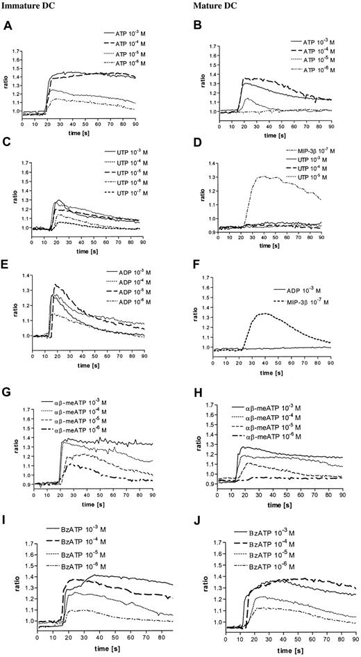 Fig. 1. Nucleotides induce intracellular Ca++ transients in immature and mature DCs. / Immature (A,C,E,G,I) and mature (B,D,F,H,J) DCs were loaded with fura-2/am as reported in “Materials and methods” and stimulated with nucleotides at the indicated concentrations. MIP-3β was used as a positive control for mature DCs. Data from 1 representative experiment of 5 similar are shown.