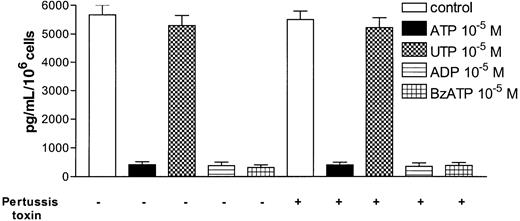 Fig. 5. ATP, ADP, and BzATP inhibit TNF-α release from mature DCs through a PT-insensitive mechanism. / DCs were treated with LPS and the indicated nucleotides in the presence or the absence of 4 μg/mL PT, and the TNF-α content was measured in the supernatants 24 hours later. Data are expressed as mean pg/mL/106 cells ± SEM (n = 3).