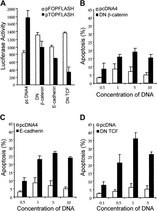 Fig. 8. Attenuation of β-catenin signaling increases susceptibility to anti-Fas–mediated apoptosis. / (A) Inhibition of β-catenin signaling by dominant-negative β-catenin, dominant-negative TCF, and E-cadherin. Jurkat cells (2 × 107) were transfected with either the empty pcDNA4 vector control, dominant-negative β-catenin, dominant-negative TCF, or E-cadherin and cotransfected with pTOPFLASH or pFOPFLASH (10 μg each). Following transfection, the cells were incubated for 18 hours and luciferase reporter activity was measured as described in “Materials and methods.” (B-D) Effect of attenuating β-catenin signaling on anti-Fas–induced apoptosis. Jurkat cells were transfected with either pcDNA4 vector control or with dominant-negative β-catenin (B), E-cadherin (C), or dominant-negative TCF (D) at the concentrations indicated. The pEGFP expression vector was cotransfected for identification of transfected cells. Quantitative analysis of apoptosis induced by anti-Fas in GFP-positive Jurkat cells was performed by flow cytometry. Values represent the mean ± SD of 3 separate experiments.