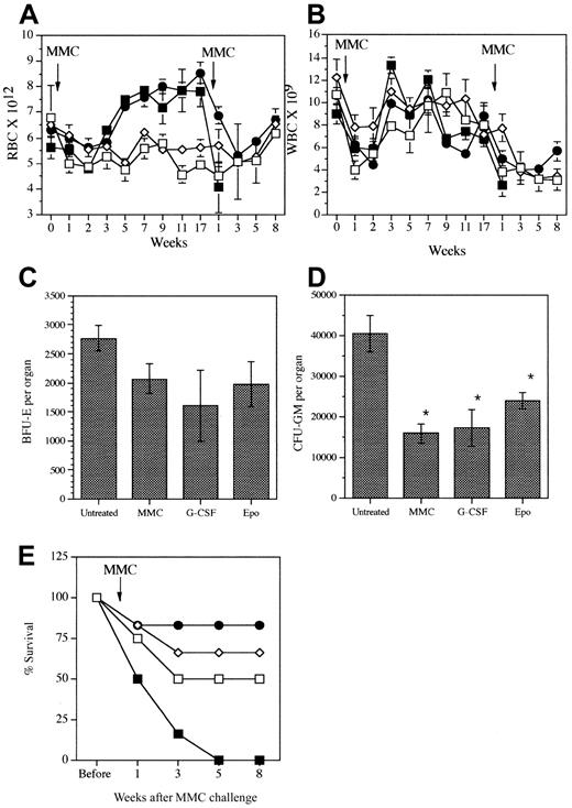Fig. 2. Effect of long-term exposure to G-CSF on peripheral blood cell counts and BM colony formation. / (A) RBC and (B) WBC counts in Fancc−/− mice before and after one MMC injection prior to cytokine therapy (■, no cytokines; ⋄, G-CSF; ●, EPO; ▪, EPO + G-CSF). Mice were subjected to a MMC challenge after 18 weeks of cytokine treatment, and blood cell counts were monitored for the following 8 weeks, at which point the experiment was terminated and BFU-E (C) and CFU-GM (D) were analyzed. (E) Survival curves of Fancc−/− mice before (after 18 weeks of cytokine treatment) and following MMC challenge (■, no cytokines; ⋄, G-CSF; ●, EPO; ▪, EPO + G-CSF). Each point represents the mean ± SEM of 2 to 6 mice. The absence of SEM bars indicates that values were too low to appear in the graph. Significant differences compared to untreated controls: *,P < .05 evaluated by 1-way ANOVA.