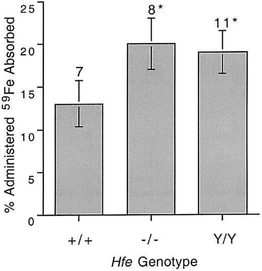 Fig. 1. Intestinal 59Fe absorption in 8-week-old wild-type and Hfe mutant mice. / 59Fe was administered by gavage and percentage administered iron absorbed was determined as described in “Materials and methods.” +/+ indicates wild type; −/−, Hfe knockout; Y/Y, C282Y knockin. Error bars represent SEM. The number of animals in each group is shown above columns. *P < .04 compared with wild type mice.