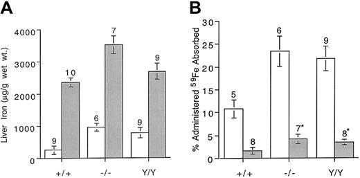 Fig. 2. Liver iron content and 59Fe absorption in control mice and mice with dietary iron loading. / (A) Comparison of liver iron content in 5-week-old mice maintained on a control diet or a 2% carbonyl iron–supplemented diet for 6 weeks. (B) Five-week-old mice were maintained on a control diet or a 2% carbonyl iron–supplemented diet for 6 weeks. 59Fe was administered by gavage and percentage administered iron absorbed was determined as described in “Materials and methods.” Genotypes are as defined in Figure 1. Open bars indicate control diet; shaded bars, carbonyl iron diet. Error bars represent SEM. The number of animals in each group is shown above columns. * P < .04 compared with wild-type mice maintained on the carbonyl iron diet.