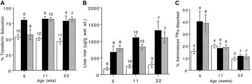 Fig. 3. Iron measurements in wild-type and Hfemutant mice of different ages. / (A) Transferrin saturation was determined in 5-, 11-, and 22-week-old mice. (B) Liver iron was measured in 5-, 11-, and 22-week-old mice. (C) Five-, 11-, and 22-week-old mice were administered 59Fe by gavage and percentage administered iron absorbed was determined as described in “Materials and methods.” Open bars show results for wild-type mice (+/+); black bars, Hfe knockout mice (−/−; shaded bars, C282Y knockin (Y/Y). Error bars represent SEM. The number of animals in each group is shown above columns.