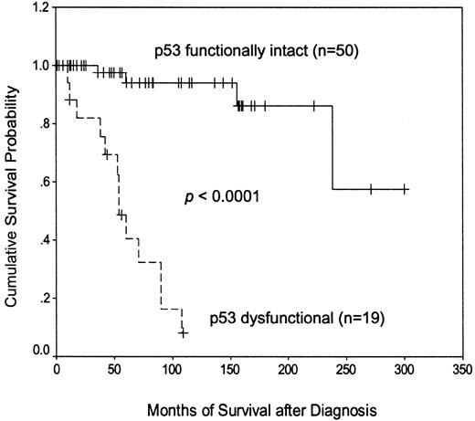 Fig. 2. Kaplan-Meier plot of disease-specific survival according to p53 functional status.