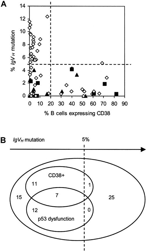Fig. 5. Relationship between p53 dysfunction, CD38 expression, and IgVH mutation. / (A) 2-D plot. Patients with functionally intact p53 are represented by open diamonds, those with type A p53 dysfunction by closed squares, and those with type B p53 dysfunction by closed triangles. Lines have been drawn to indicate the cutoff values used to define CLL subgroups on the basis of IgVH mutation and CD38 expression. (B) Venn diagram showing the relationship.
