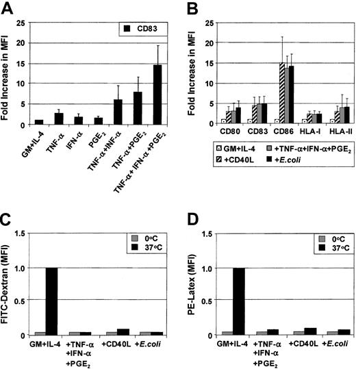 Fig. 1. Up-regulation of maturation markers on MoDCs in response to proinflammatory factors. / MoDCs were prepared by culturing purified CD14+ monocytes for 7 days in GM-CSF and IL-4 and stimulated for 3 days with the indicated stimuli. Surface expression of maturation markers was examined by flow cytometry on day 10. (A) Immature MoDCs were stimulated with either TNF-α (20 ng/mL) or IFN-α (1000 IU/mL) or PGE2 (1 μM) or combinations thereof as indicated for 3 days, and flow cytometric analysis of CD83 expression was performed. (B) Immature MoDCs were stimulated for 3 days with either TNF-α + IFN-α + PGE2 or CD40L (1 μg/mL) or intact E coli(1 × 106), and flow cytometric analysis of CD80, CD83, CD86, HLA-I, and HLA-II expression was assessed. Results are shown as fold increase of mean fluorescence levels relative to nonstimulated control MoDCs (control, normalized to 1). Figures represent the means (SEM of 4 experiments for (C) FITC-dextran uptake or (D) PE-latex bead uptake (1 μm) at either 4°C or 37°C for 30 minutes. Cells were examined by flow-cytometry to assess internalized FITC or PE. The data are presented as the MFI of internalized FITC or PE and represent means (SEM) of 4 experiments.