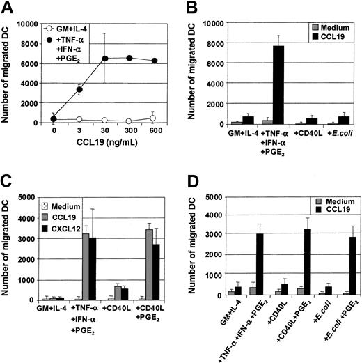 Fig. 2. Migration of immature and mature MoDCs toward proinflammatory and CCR7-binding chemokines. / Immature MoDCs (GM + IL-4) or MoDCs stimulated with the indicated stimuli for 2 days were examined for their migratory capacity toward either CCL19 (MIP-3β) or CXCL12 (SDF-1α) in transwell assays. (A) Dose titration of CCL19 in transwell assay and comparison of migratory function of immature MoDCs and MoDCs matured with TNF-α + IFN-α + PGE2. (B) Migration toward CCL19 (30 ng/mL) by immature MoDCs or MoDCs stimulated with either TNF-α + IFN-α + PGE2 or CD40L (1 μg/mL) or intact E coli (1 × 106). Data are representative of 5 separate experiments. (C) Migration toward either CCL19 or CXCL12 (50 ng/mL) by immature MoDCs or MoDCs stimulated with either TNF-α + IFN-α + PGE2 or CD40L (1 μg/mL) or CD40L + PGE2. Data are representative of 5 separate experiments. (D) Migration toward CCL19 by immature MoDCs or MoDCs stimulated with either TNF-α + IFN-α + PGE2 or CD40L or CD40L + PGE2 or intact E coli or intactE coli + PGE2. Data are representative of at least 5 separate experiments.