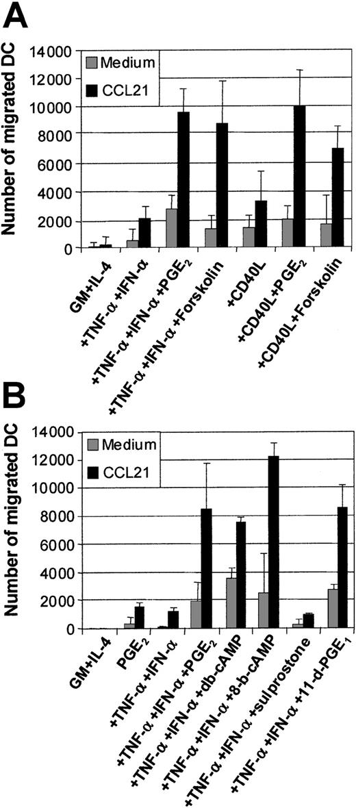 Fig. 4. Examination of the effects of the cAMP and PGE2 receptor agonists on MoDC migratory function. / Immature MoDCs (GM + IL-4) or MoDCs stimulated with the indicated stimuli for 2 days were examined for their migratory capacity toward CCL21 (6Ckine) (100 ng/mL) in transwell assays. (A) Migration toward CCL21 by immature MoDCs or MoDCs stimulated with either TNF-α + IFN-α ± PGE2 or ± forskolin (1 μM) or CD40L ± PGE2 or ± forskolin (1 μM). Data represent the mean ± SEM of triplicate wells from 5 separate donors. (B) Migration toward CCL21 by immature MoDCs or MoDCs stimulated with either PGE2, or TNF-α + IFN-α or +PGE2 or + the cAMP analogs dibutyryl-cAMP (db-cAMP) or 8-bromo-cAMP (1 μM) or + the PGE2 receptor agonists, 11-deoxy-PGE1 (11-d-PGE1) (EP2/EP4 agonist) or sulprostone (EP1/EP3 agonist) (1 μM). Data represent the mean ± SEM of triplicate wells and are representative of 3 separate experiments.