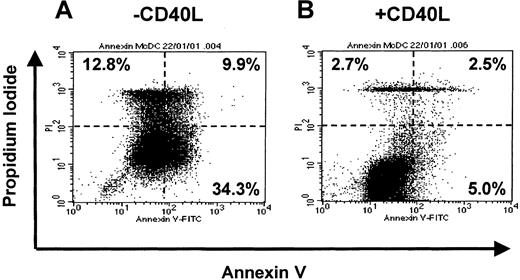Fig. 7. Effect of soluble mediators on the maturation and cell survival of MoDCs in the absence of growth factors and presence of human serum. / On day 7, immature MoDCs cultures were washed and resuspended in fresh medium containing GM-CSF (GM, 20 ng/mL). Proinflammatory factors with TNF-α (10 ng/mL), IFN-α (2000 IU/mL), and PGE2 (1 μM) were added for 3 days. On day 10, cells were washed and recultured in either IMDM + 5% human serum alone or with CD40L (1 μg/mL). MoDCs from these conditions were assessed by Annexin V and PI labeling for death by apoptosis using FACS. Data are representative of experiments from 5 separate donors.