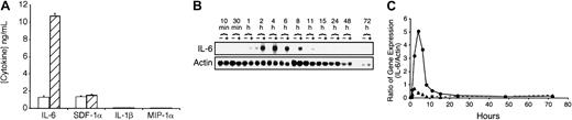 Fig. 7. Cytokine production of IL-7–stimulated HS-27a cells. / (A) Concentrations of the cytokines IL-6, SDF-1α, IL-1β, and macrophage inhibitory protein 1-α (MIP-1α) in conditioned media were determined after 6 days of culture without (open bars) or with 100 ng/mL IL-7 (hatched bars) by ELISA. Each bar represents the average ± SD for 4 samples. (B) Northern blot analysis to measure the IL-6 (upper gel) and actin (lower gel) mRNA levels in IL-7 stimulated (+) or control (−) HS-27a cells at different time points. Each lane contained total RNA (10 μg/lane) blotted onto a nylon membrane. The membrane was probed with a P32-labeled IL-6 probe (upper gel). The bound probe was stripped off, and the membrane was reprobed with a P32-labeled actin probe (lower gel). (C) The blots were quantitatively scanned, and the ratio of IL-6 RNA to actin RNA was calculated. The IL-7–stimulated and control cells are represented by solid and dashed lines, respectively.