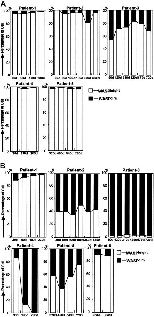Fig. 3. Follow-up studies in patients with MC status after HST. / (A) Bar charts show changes in MC status in lymphocytes obtained from 5 WAS patients after HST. Open bars and solid bars depict the proportion of lymphocytes with WASPbright donors and WASPdim recipients, respectively. (B) Bar charts show changes in MC status in monocytes obtained from 6 WAS patients after HST. Open bars and solid bars depict the proportion of monocytes with WASPbright donors and WASPdim recipients, respectively.