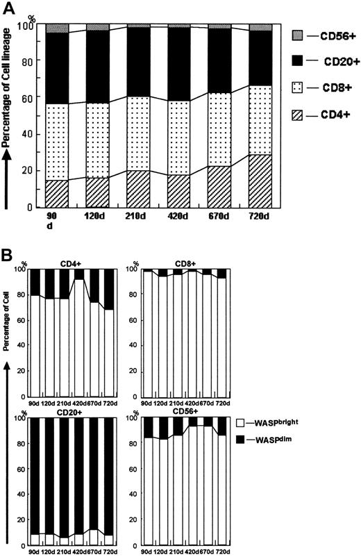 Fig. 4. Evaluation of the precise MC status in patient 3. / (A) Change in lymphocyte subsets (combined WASPbright and WASPdim cells) in patient 3 after HST. The 4 patterns in the bar show the proportions of CD4+, CD8+, CD20+, and CD56+ cells, respectively. (B) Change in MC status in each lymphocyte subset of CD4+, CD8+, CD20+, and CD56+ cells. Shown is the proportion of WASPbright donors (open bars) and WASPdim recipients (solid bars) in each subset.