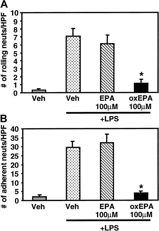 Fig. 2. Effect of oxidized EPA on rolling and adhesion of neutrophils under laminar flow. / HUVECs were treated with vehicle alone or native or oxidized EPA (100 μM) for 1 hour prior to stimulation with LPS for 5 hours. The HUVEC-containing coverslip was placed in a parallel plate flow chamber and resting neutrophils (106/mL) were infused at 0.5 dynes/cm2 wall shear stress. The number of rolling (A) and adherent neutrophils (B) were determined and averaged ± SEM. *P < .00007 compared with Veh + LPS, n = 3.