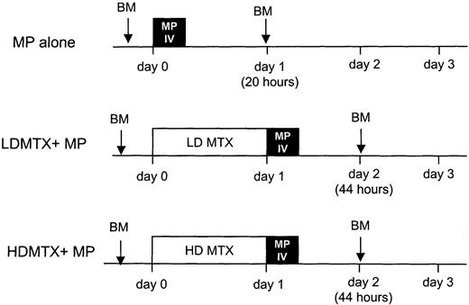 Fig. 1. Treatment schema. / Patients with newly diagnosed ALL were randomized to 1 of 3 treatments: intravenous MP (1 g/m2) over 6 hours (MP); oral MTX (30 mg/m2 every 6 hours, 6 doses) followed at 24 hours by intravenous MP (1 g/m2) over 6 hours (LDMTX plus MP); or intravenous MTX (1 g/m2) over 24 hours followed by intravenous MP (1 g/m2) over 6 hours (HDMTX plus MP). DNPS rates were measured in leukemia cells from bone marrow (BM) aspirates obtained at diagnosis and at 20 hours after the start of MP infusion (corresponding to 44 hours after the start of MTX therapy). MTXPG concentrations were measured in bone marrow leukemia cells obtained at 44 hours after initiation of chemotherapy in patients randomized to MTX plus MP.