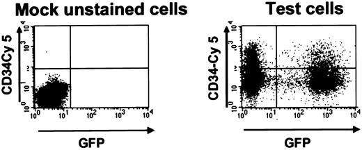 Fig. 2. GFP+ cord blood cells after transduction with the MSCV-HS2-β-globin-GFP virus. / FACS dot plot of cells harvested 2 days after transduction and stained with antihuman CD34-Cy5. The left panel shows results for mock-transduced unstained cord blood cells and the right panel for the test cells. In this example 39% of all cells and 35% of the CD34+ cells were GFP+.