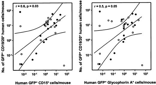 Fig. 4. Correlation analysis of GFP+ human lymphoid and GFP+ human myeloid cells in individual recipients of transduced human fetal liver cells. / Left panel: The number of GFP+ human CD19/20+B-lymphoid cells per mouse is plotted as a function of the number of GFP+ human CD15+granulopoietic cell numbers in the same mice for 15 NOD/SCID (●) and 16 NOD/SCID-β2m−/− mice (○). A similar plot is shown on the right for GFP+ human CD19/20+B-lymphoid cells numbers as a function of GFP+ human glycophorin A+ erythroid cells in the same mice. Values shown were calculated assuming that the content of 2 tibias and 2 femurs represents 25% of the total marrow mass of a mouse.34 The correlation coefficients for each set of data are shown in the top left corner of the corresponding panel.