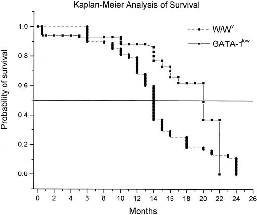 Fig. 6. Kaplan-Meier analysis of the probability of survival with age for GATA-1low (squares) and W/Wv(triangles) mice. / For the GATA-1low mice, the probability of survival was calculated starting with 178 mutants born in the facility over a period of 3 years. Because the birth of the animals was not synchronous and animals were killed for experimental purposes, the number of mice used to calculate the survival curve changed with age and included a total of 147 animals up to 13 months and 31 animals from 14 months on. In the case of the W/Wv mice, the survival probability was calculated on a cohort of 204 mice, 50 of which were censored because they were killed for other experiments. The 2 survival curves are statistically different (P < .001) by Mann-Whitney rank sum test.