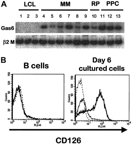 Fig. 6. Growth factors and growth factor receptors in B cells and PPC. / (A) Radioactive RT-PCR for gas6 in EBV-1 (lane 1), EBV-5 (lane 2), EBV-16 (lane 3), XG-1 (lane 4), XG-6 (lane 5), XG-16 (lane 6), MM1 (lane 7), MM2 (lane 8), MM3 (lane 9), RP (lane 10), and PPC1 to PPC3 (respectively, lanes 11 to 13). (B) Purified CD19+ PB B cells were single-stained with PE-conjugated anti-CD126 mAb (left). Dotted line indicates isotypic control. By comparison, cells obtained on day 6 of culture were stained with Cy chrome–labeled anti-CD20, FITC-labeled anti-CD38, and PE-labeled anti-CD126 mAb (right). Dotted line indicates isotypic control; bold line, CD20−/CD38++ cells; solid line, CD20+/CD38+/− cells.
