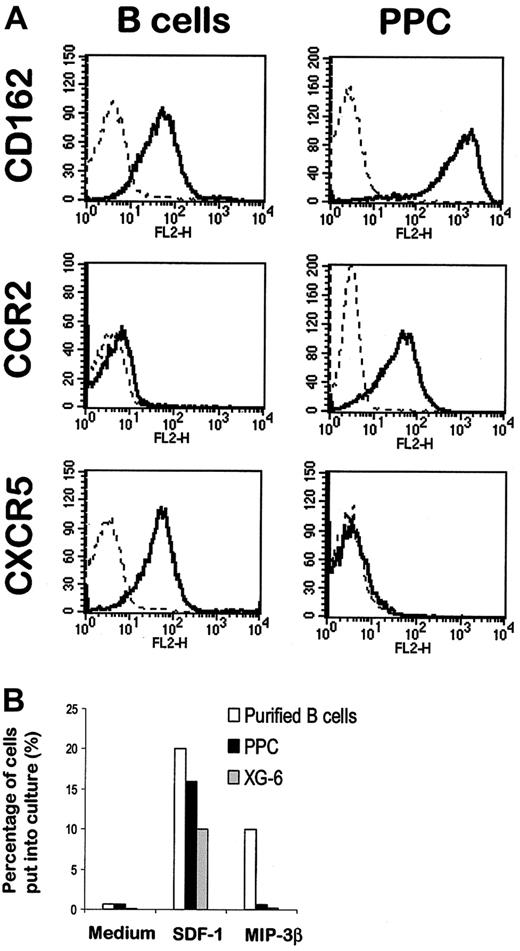 Fig. 7. Expression of homing molecules in B cells and PPCs. / (A) Purified PB B cells (left panel) were stained with a PE-conjugated anti-CD162, anti-CCR2, or anti-CXCR5 mAb. PPCs were generated with the 6-day culture process described above and were stained with Cy chrome–labeled anti-CD20, FITC-labeled anti-CD38 and PE-conjugated anti-CD162, anti-CCR2, or anti-CXCR5 mAb. The right panel shows the expression of the homing molecules on gated CD20−/CD38++ cells. (B) Cell migration of B cells, PPCs, and tumor plasma cells. Purified B cells, XG-6 myeloma cell line, and sorted CD20−/CD38++ PPCs were seeded in the upper chamber of a Transwell with SDF-1 or MIP-3β in the lower chamber. Results are expressed as the percentage of input cells that migrated to the lower chamber.