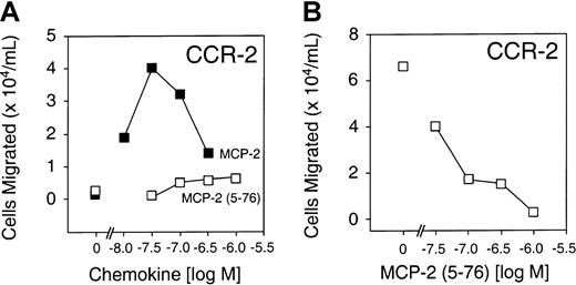 Fig. 4. Receptor activity of full-length MCP-2 and MCP-2(5-76). / (A) Cell migration assays of B300-CCR2 showing loss of receptor agonist activity of MCP-2(5-76) compared with full-length chemokine. Cells that migrated in the absence of chemokine are indicated at 0 M. (B) Cell migration assay of B300-CCR2 in the presence of full-length MCP-2 (30 nM) and phosphate-buffered saline vehicle alone (0 M) or increasing concentrations of MCP-2(5-76), as indicated. Mean values of duplicate assays are shown.