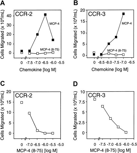 Fig. 6. Receptor activity of full-length MCP-4 and MCP-4(8-75). / (A) (B) Cell migration assays of B300-CCR2 (panel A) or B300-CCR3 (panel B) showing activity of MCP-4(8-75), MCP-4, or vehicle alone (0 M). (C) Cell migration assay of B300-CCR2 showing, as indicated, MCP-4 (300 nM) in the presence of increasing concentrations of MCP-4(8-75) or MCP-4 alone—ie, with 0 M MCP-4(8-75). (D) Cell migration assay of B300-CCR3 in response, as indicated, to full-length MCP-4 (100 nM) and in the presence of increasing concentrations of MCP-4(8-75) or MCP-4 alone, ie, with 0 M MCP-4(8-75). Mean values of duplicate assays are shown.