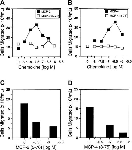 Fig. 7. The effects of MMP-cleavage of MCP-2 and MCP-4 on THP-1 monocytic cell chemotaxis. / (A) (B) Cell migration assay of THP-1 cells in response to MCP-2 and MCP-2(5-76) (panel A) or MCP-4 and MCP-4(8-75) (panel B), as indicated. Cells migrated in the absence of chemokine are shown at 0 M chemokine. Mean values of duplicate assays are presented. (C) (D) Antagonist assays are shown for MCP-2(5-76) (panel C) and MCP-4(8-75) (panel D). Chemotaxis of THP-1 cells in response to 30 nM MCP-2 or 100 nM MCP-4 in the absence and presence of MMP-cleaved chemokine analog at the indicated concentrations is shown in the corresponding panels. Mean values of duplicate assays are presented.