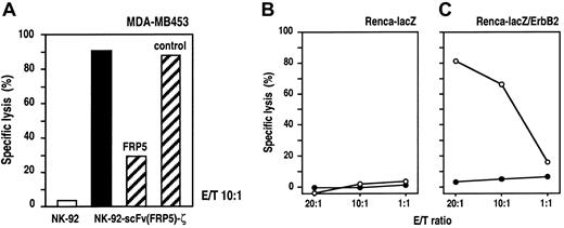 Fig. 3. Specificity of NK-92-scFv(FRP5)-ζ cells. / (A) Competition of ErbB2 binding. ErbB2-expressing MDA-MB453 cells were incubated with NK-92-scFv(FRP5)-ζ cells at an E/T ratio of 10:1 for 2 hours in the absence of competitor (filled bar) or in the presence of 30 μg/mL ErbB2-specific mAb FRP5 or an isotype-matched control antibody as indicated (hatched bars). Parental NK-92 cells were included as a control (open bar). Specific lysis was determined in europium-release assays as described in the legend of Figure 2. (B-C) Cytotoxic activity of NK-92-scFv(FRP5)-ζ against transfected murine cell lines. Renca-lacZ murine renal cell carcinoma cells expressing theEscherichia coli β-galactosidase gene (B) and Renca-lacZ/ErbB2 cells further transfected with a human c-erbB2 cDNA construct (C) were incubated with NK-92-scFv(FRP5)-ζ (○) or parental NK-92 cells (●) at different E/T ratios for 2 hours. Specific lysis was determined in europium-release assays as described in the legend of Figure 2.