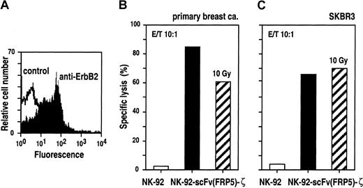 Fig. 7. Cytotoxic activity of untreated and irradiated NK-92-scFv(FRP5)-ζ against primary and established human breast cancer cells. / Breast cancer cells were collected from a pleural effusion of a patient suffering from metastatic breast cancer. ErbB2 expression on the surface of primary cancer cells was confirmed by FACS analysis (A). Primary (B) and established SKBR3 breast cancer cells (C) were incubated with NK-92-scFv(FRP5)-ζ (filled bars), NK-92-scFv(FRP5)-ζ irradiated with a dose of 10 Gy (hatched bars), or parental NK-92 cells (open bars) at an E/T ratio of 10:1 for 2 hours. Specific lysis was determined in europium-release assays as described in the legend of Figure 2.