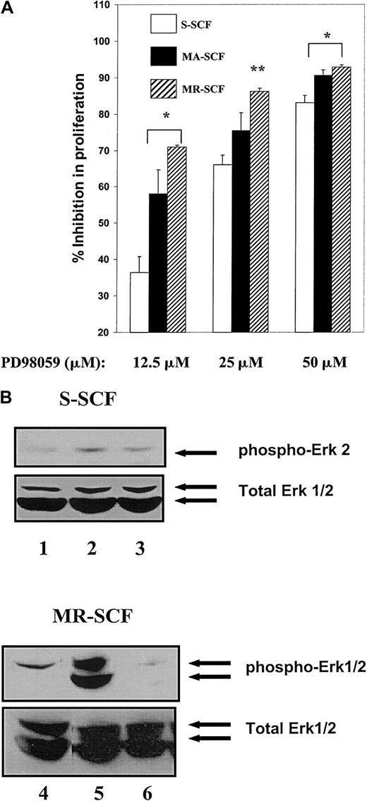 Fig. 6. Differential inhibition in proliferation of G1E-ER2 cells by ERK inhibitor and stromal cells expressing different isoforms of SCF. / G1E-ER2 cells were cocultured for 48 hours with mitomycin C–treated stable stromal cell transfectants expressing S-SCF, MA-SCF, or MR-SCF in the absence or presence of indicated concentrations of the ERK inhibitor PD98059. (A) Proliferation was measured by thymidine incorporation assay. Bars denote the mean inhibition in proliferation (± SEM) of 2 independent experiments performed in replicates of 6. *P < .05 MA-SCF and MR-SCF (12.5 μM and 50 μM) versus S-SCF (12.5 μM and 50 μM). **P < .05 MR-SCF versus S-SCF (25 μM). (B) Level of ERK inhibition in G1E-ER2 cells treated with 12.5 μM PD98059 and stimulated with soluble SCF (top panel) or MR-SCF (bottom panel). Lanes 1 and 4: unstimulated G1E-ER2 cells. Lanes 2 and 5: G1E-ER2 cells stimulated with soluble SCF and MR-SCF, respectively. Lanes 3 and 6: PD98059 pretreated G1E-ER2 cells stimulated with soluble and MR-SCF, respectively. Arrows indicate the phosphorylated and total ERK1/2 protein.
