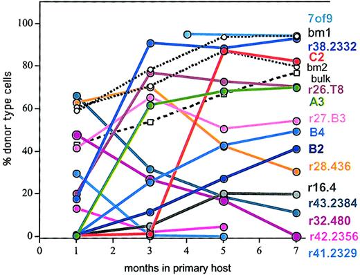 Fig. 2. Clonal analysis confirms the heterogeneity of the HSC compartment. / Cells (Ly5.1) from individual positive wells (closed symbols) from the limiting-dilution cultures were injected into W41W41 hosts (Ly5.2). Donor-type cells in blood were assessed at the indicated time points after injection. Two representative W41W41 hosts that received 105 freshly explanted BMCs (open circles, dotted lines; designated BM1 and BM2) are also shown. Cells cultured on the stromal cell line S17 in bulk culture and then injected into lethally irradiated B6 mice are indicated by open squares. Names for HSC clones are indicated at the right. Data for clones C2, B2, B4, A3, and r16.4 have been published,24 and these clones are included here to provide a baseline for the data in Figures 3 to8.