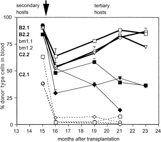 Fig. 4. Concerted repopulation kinetics of granddaughter HSCs originally derived from clonal HSCs in tertiary recipients. / Secondary recipients of HSCs originally derived from clones C2 (dashed lines, open symbols) and B2 (solid lines, open symbols) and the control mouse BM1 (closed symbols) were killed 8 months after injection (total time in repopulation assay, 15 months). The 7-month repopulation data in the secondary hosts are indicated for comparison (as the first point of the lines). BMCs from each secondary host were injected into 2 new lethally irradiated B6 mice each (arrow), generating 4 tertiary hosts. Three mice each injected with HSCs from clone B2 and from the control BM2 were followed over 7 months (one mouse from each group was killed at 3 months). Data shown are percentages of donor-type cells (Ly5.1) in blood.