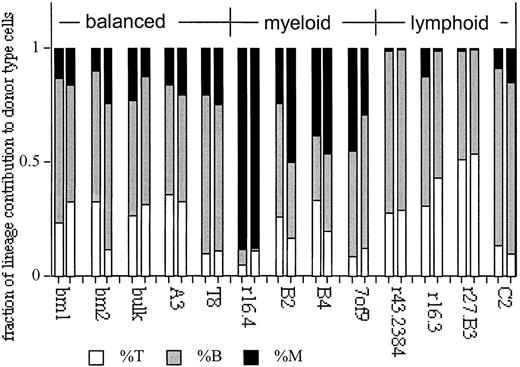 Fig. 6. Balanced, myeloid-, and lymphoid-dominant HSCs are revealed in clonal transplantation analysis. / Shown are the fractions of T (Thy-1+) and B (B220+) lymphocytes and myeloid cells (M: GR-1+, Mac-1+) to the donor-type repopulation in blood for each mouse at 5 and 7 months in the primary host. Donor-type cell levels were normalized to 100% to facilitate comparison of the lineage repopulation patterns. Values of donor-type cells at each time point can be seen (Figure 1). Data for BM1, BM2, A3, r16, C2, B2, and B4 are modified from Cho et al24. Clone numbers and BM controls (BM or bulk) are indicated at the bottom of the figure.